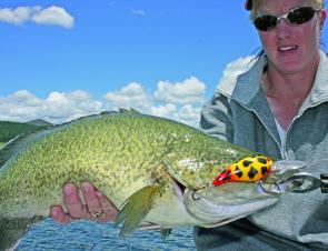 Don’t be afraid to use big lures when targeting Murray cod during the last month of the season.